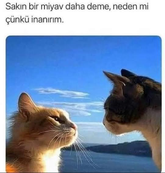 😂😂