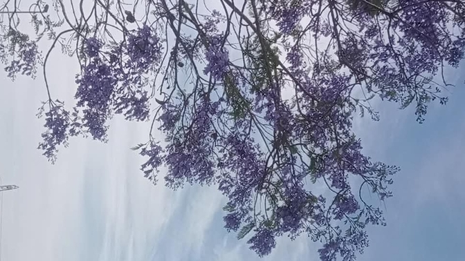 Bu saatleri sever mısınız güzel oluyor bence 😘?