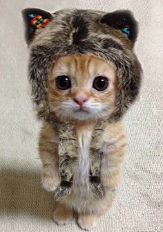 İlişkilerde sadık erkek nasıl bulunur?