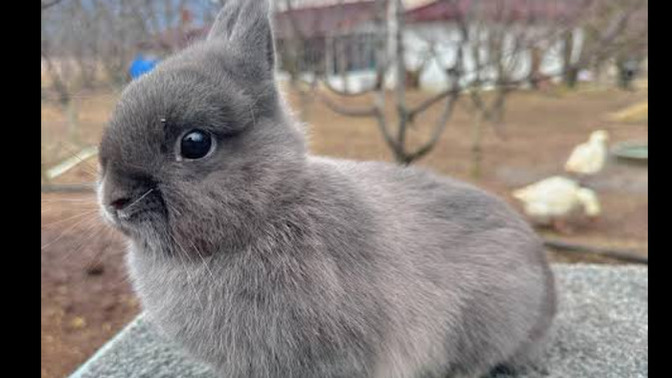 Sizin şu an neye ihtiyacınız var?