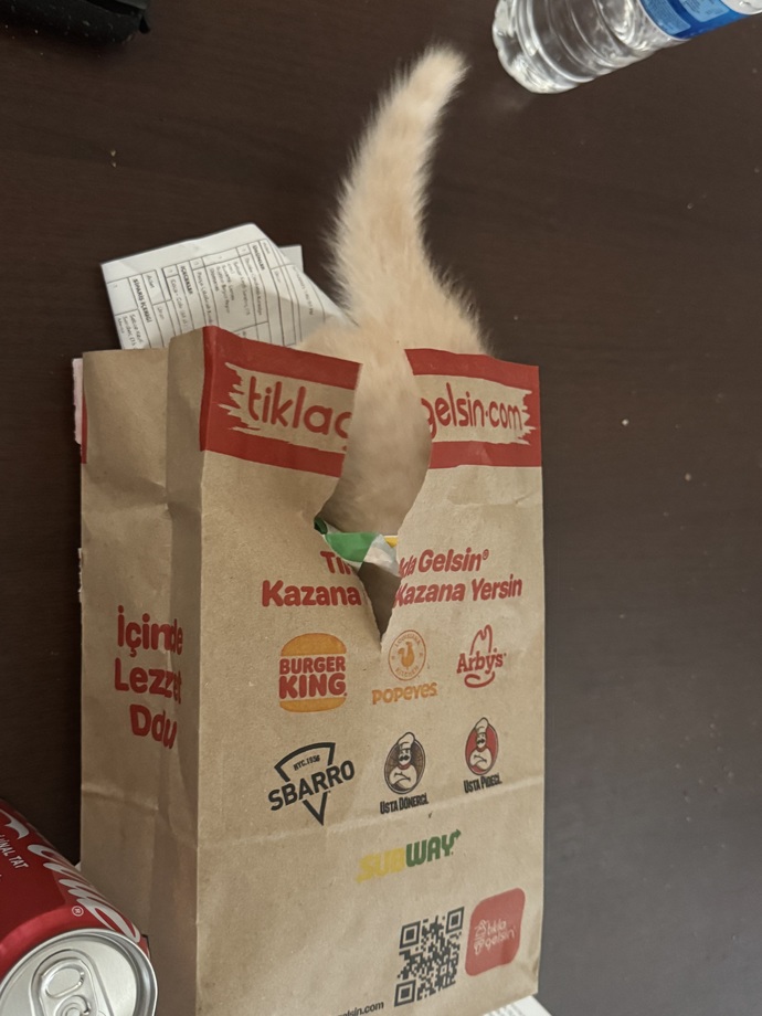 Her halinizden anlayan birileri var mı?