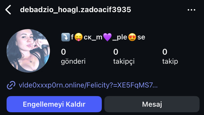 Neden bu tarz fake hesaplar hikayeme bakıyor?