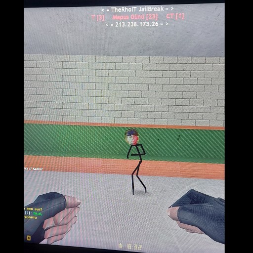 Counter Strike 1.6 da şu görüntüyle karşılaştım bu nedir?