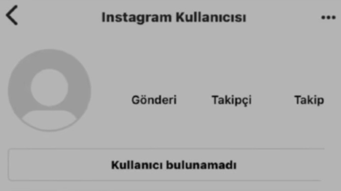 Çok sevdiğiniz birinin profilini bu şekilde görmek size ne hissettirdi?