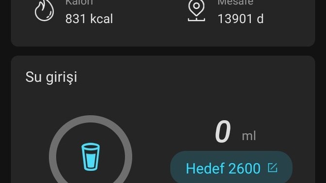 Koşu+ yürüyüş yaptım sizce bu iyi mi?
