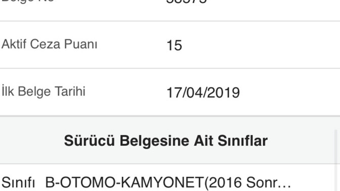 Ehliyeti kaç yaşında aldınız?