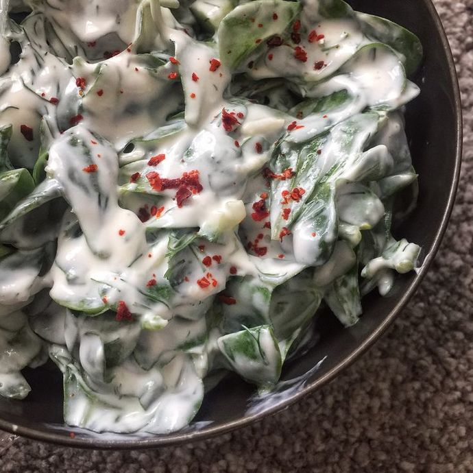 Semizotu salatasını sever misiniz?