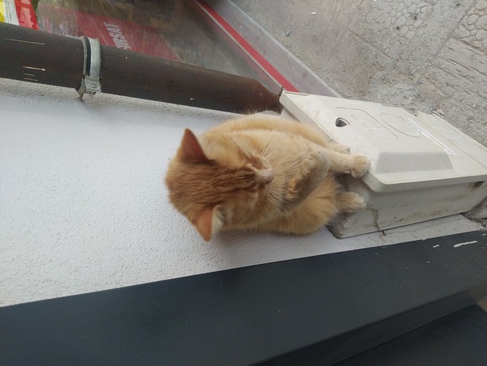 Sizce benim sarman kızım nasıl?
