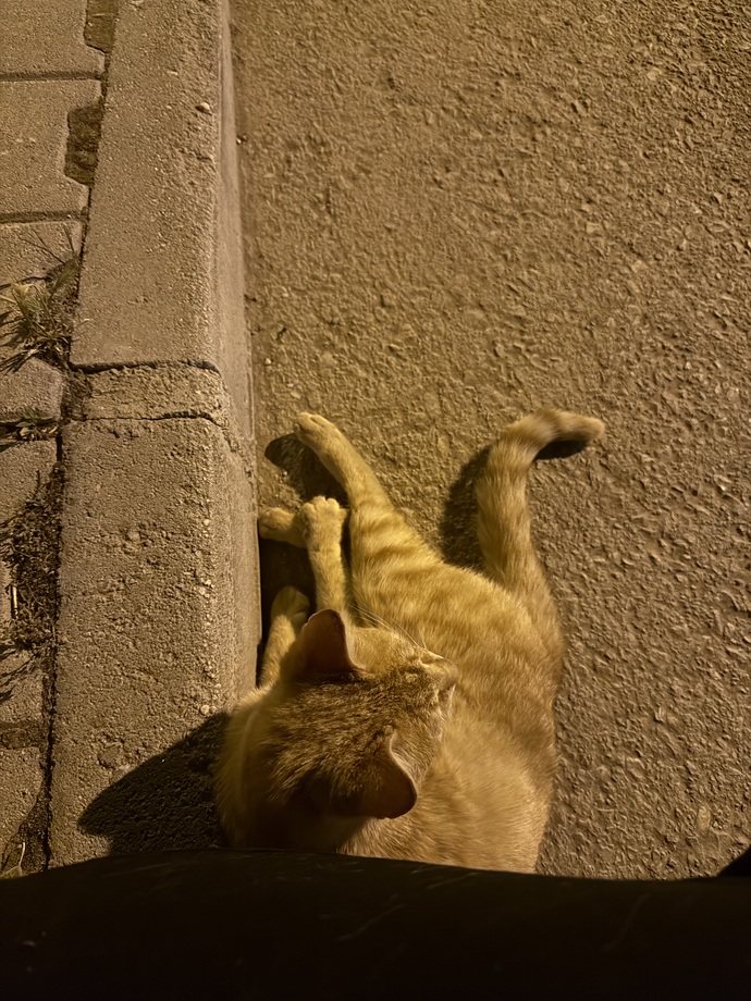 Sizce benim sarman kızım nasıl?