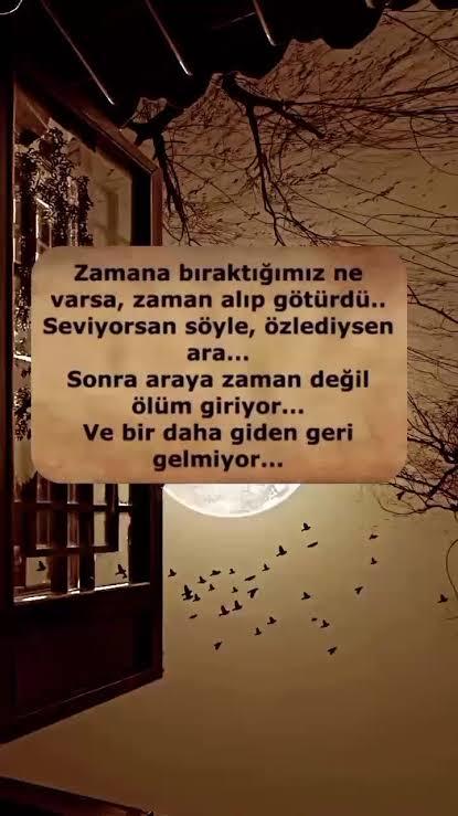Giden neden geri gelmez?