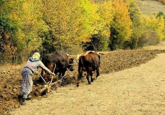 Para olmasaydı sizce nasıl bir yaşam sürerdik 🔎?