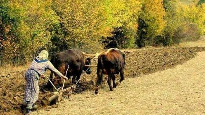 Para olmasaydı sizce nasıl bir yaşam sürerdik 🔎?
