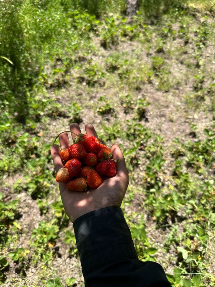 😋