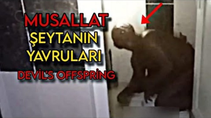 Hayatınızda hiç bu kadar korkunç bir video izlediniz mi?