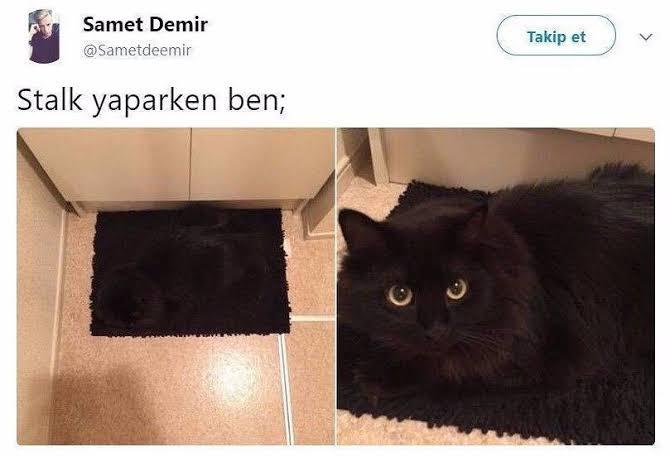 Stalk yapiyor musunuz? Yapiyor iseniz kimleri yapiyorsunuzz?