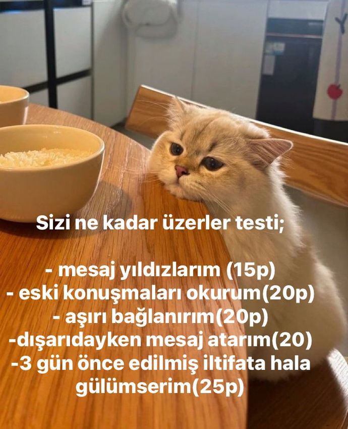 Sizi üzmek kolay mı yoksa zor mu?