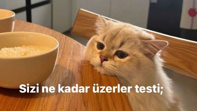 Sizi üzmek kolay mı yoksa zor mu?