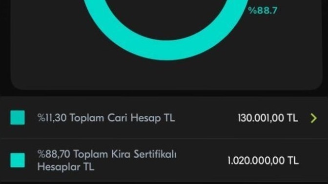 Sizce altın mı alıyım faize mı koyayım?