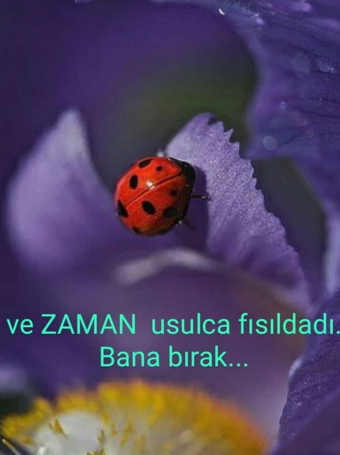 Zamana bıraktığımız için mi mutsuzuz yoksa herşeyi?