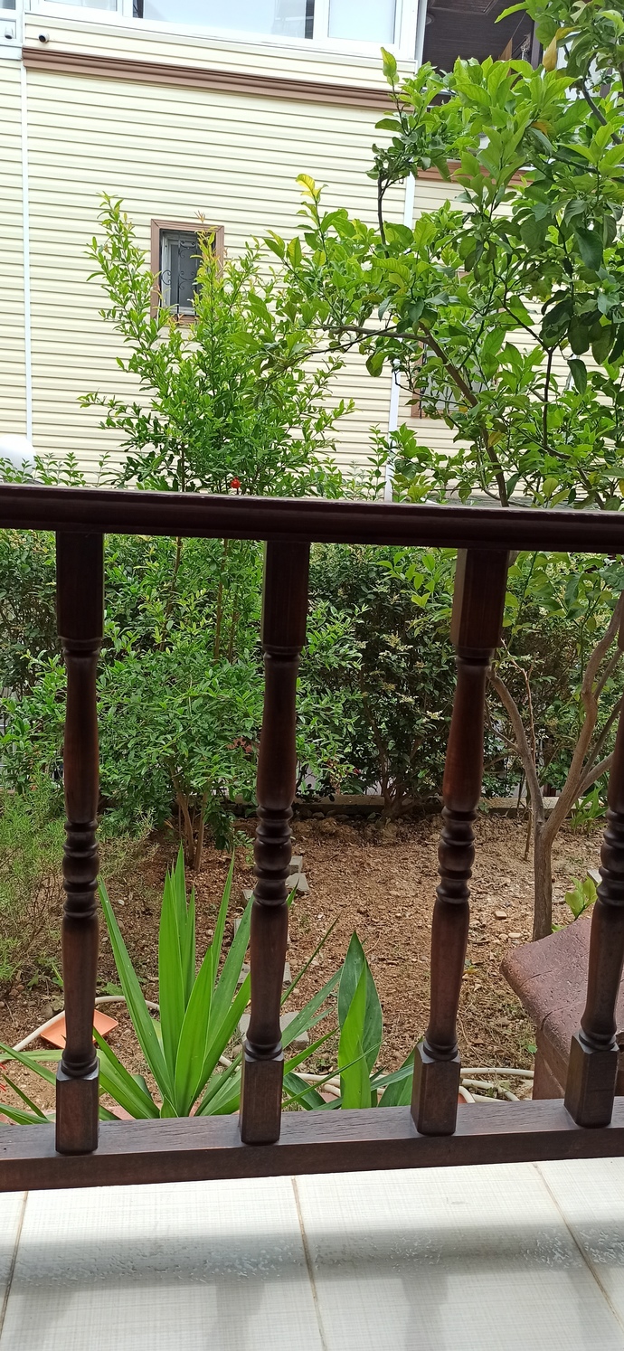 Böyle bir bahçede kahvaltı yapsanız, sofrada olmazsa olmazınız ne olurdu?