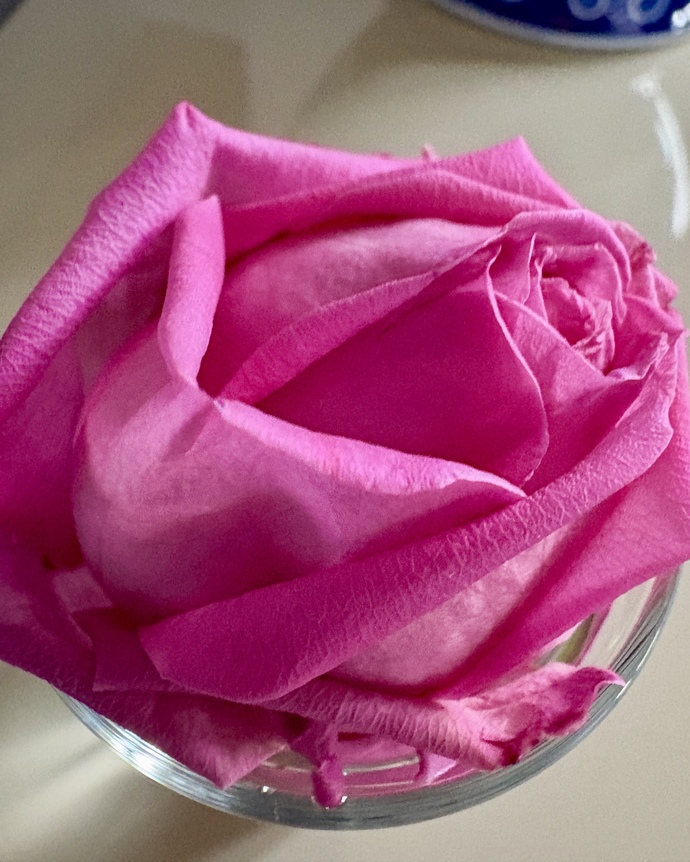 ✌🏻