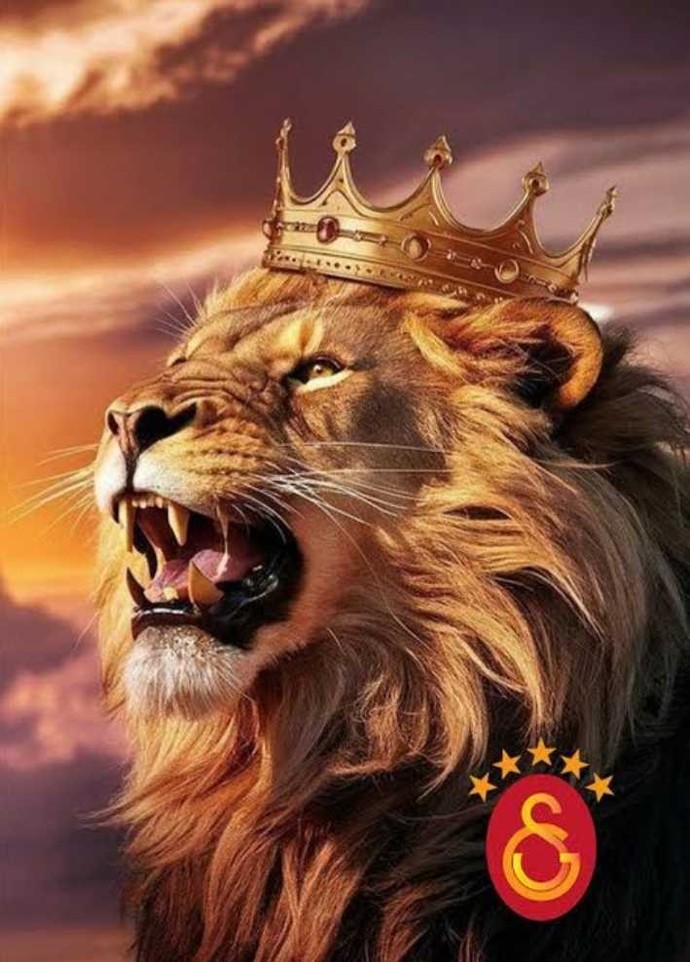 Duruşuna hayran olduğunuz bir hayvan var mı?