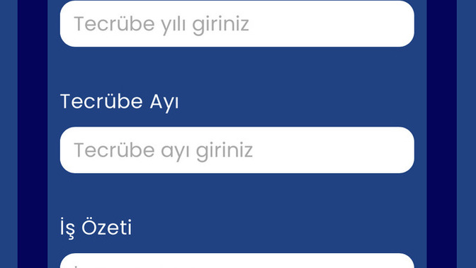 Başvuru da tecrübe ayını soruyor ay olarak mı yazmalıyım yoksa kaç ay olduğunu mu soruyor yardımcı olur musunuz?
