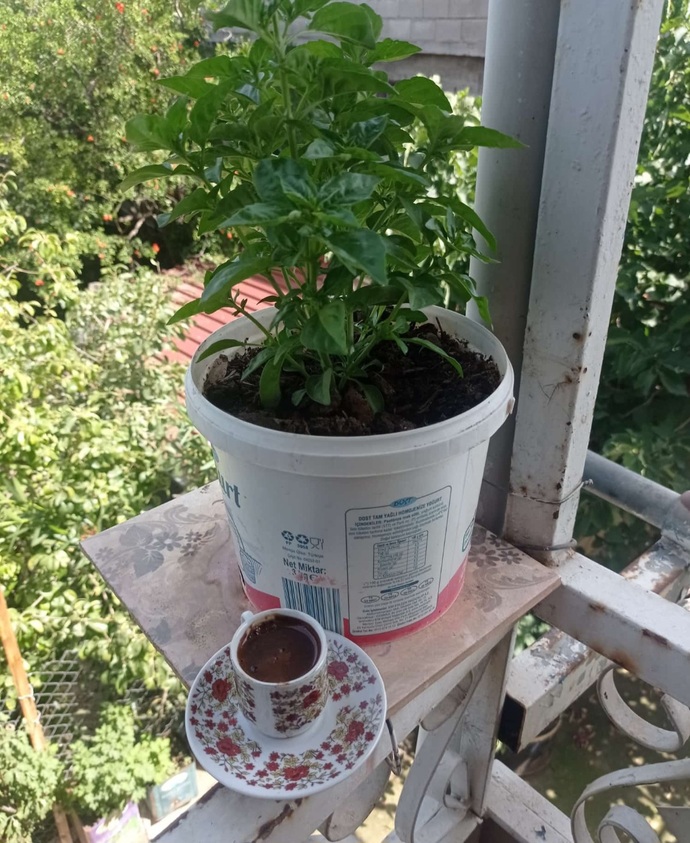 Kahveni nasıl alırsın? Şekerli, sade, orta mı?