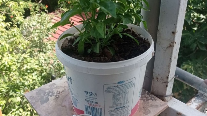 Kahveni nasıl alırsın? Şekerli, sade, orta mı?