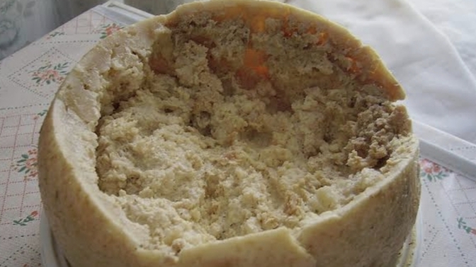 Casu marzu peynirini yemeye cesaret eder miydiniz?