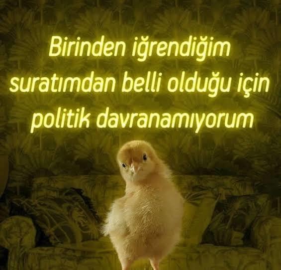 Nefret ettiğiniz karşı cins özelliği nedir?