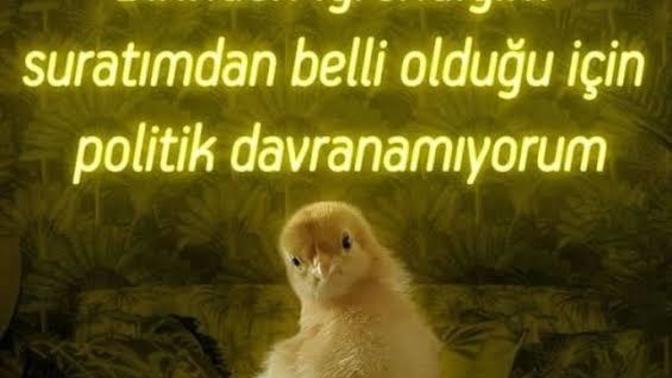 Nefret ettiğiniz karşı cins özelliği nedir?