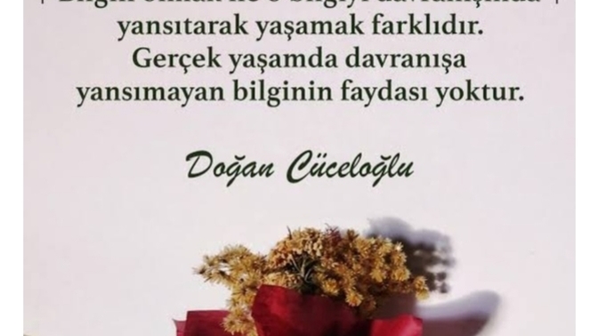 Bir konuda uzman olmayı mı, yoksa bir çok konuda ortalama bir bilgi sahibi mi olmayı tercih edersin?