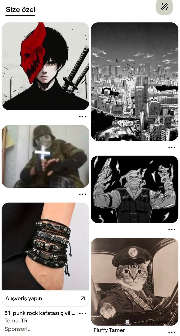 Pinterest sayfasında ilk ne çıkar genelde?