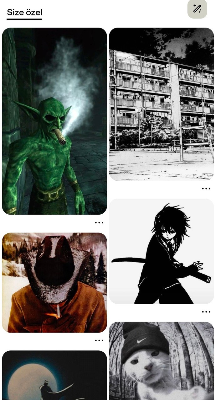 Pinterest sayfasında ilk ne çıkar genelde?