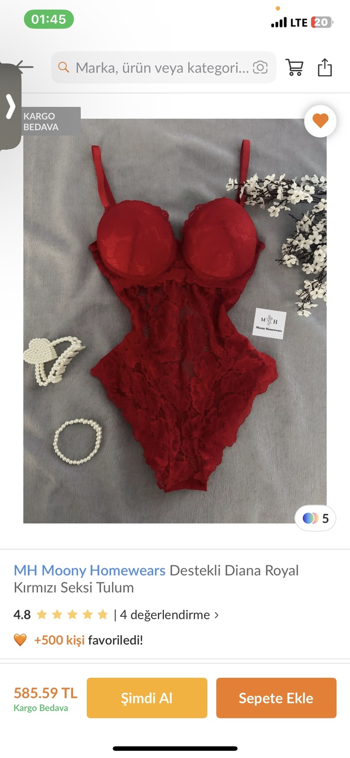 Sizce hangisi? yoksa farklı modeller mi bakmalıyım?