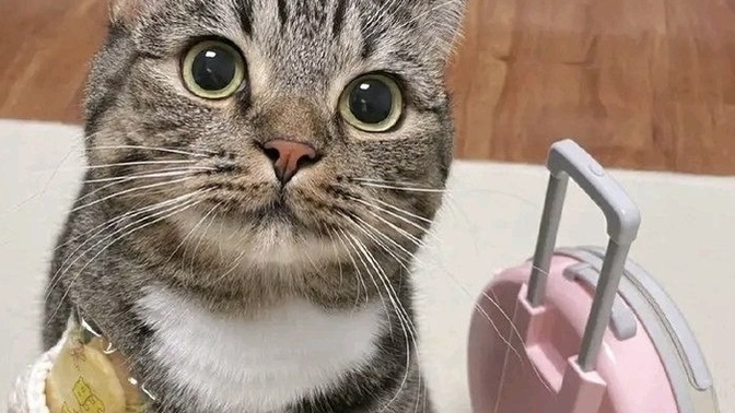İsminin baş harfiyle başlayan bir ülkeye taşınmak zorunda kalsan, nereye gidersin?