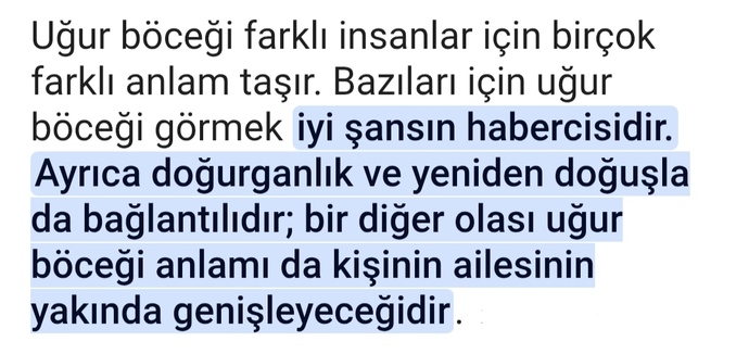 Ben az önce gördüm ve anlamına baktım doğru çıktı anlamida yakında yiğenim olucak