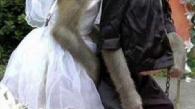 Her başarılı erkeğin arkasında bir kadın var sözü sizce ne kadar doğru?