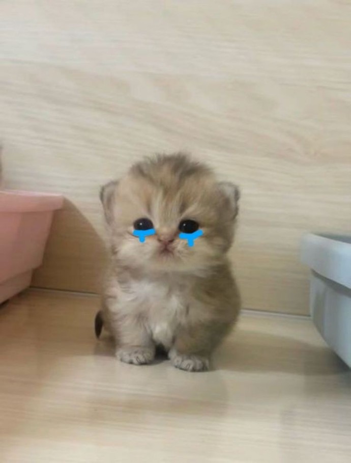 Birini affetmek, yeniden güvenmek anlamına gelir mi?