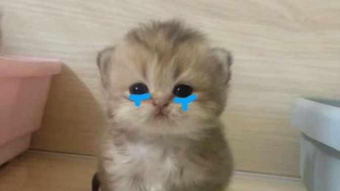 Birini affetmek, yeniden güvenmek anlamına gelir mi?