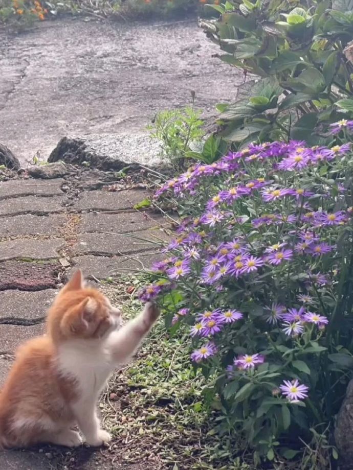 Kendine en çok hangi konuda güvenirsin?