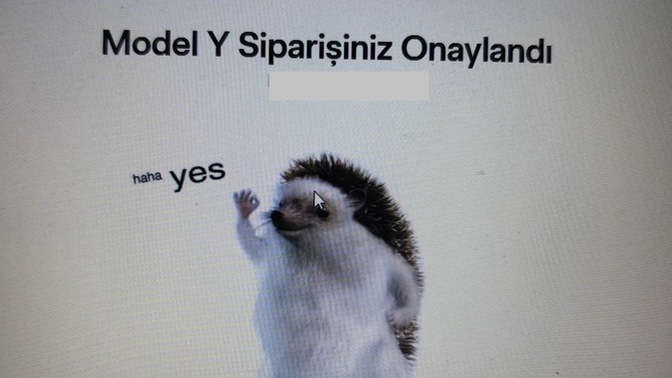 Tesla yeni model Y siparişi verebildiniz mi?