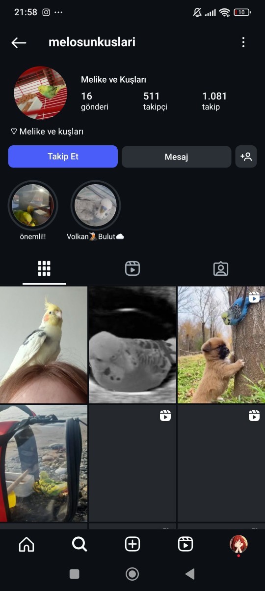 Instagram hesabında mesaj gönder seçeneği çıkmıyor?