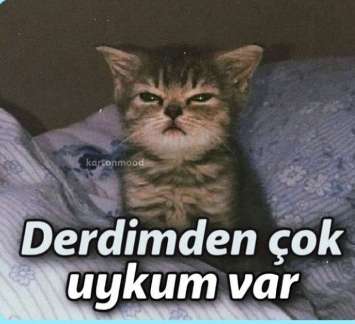 Bugün yoruldum ve çok uykum geldi sizin de böyle olduğunda ne yaparsınız?