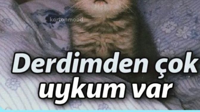 Bugün yoruldum ve çok uykum geldi sizin de böyle olduğunda ne yaparsınız?