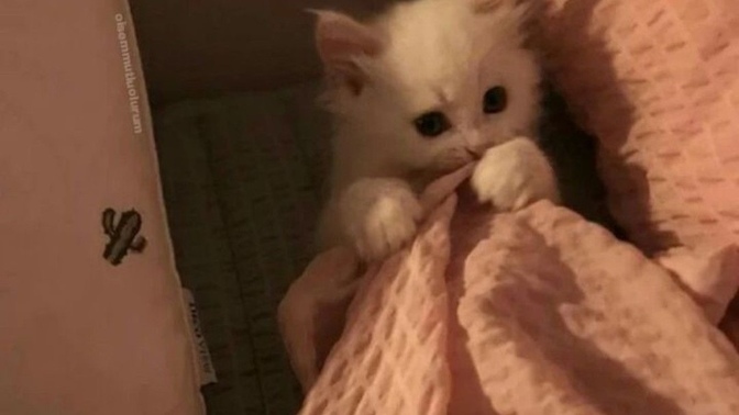 Ben uyuyorum bir şey diyor musunuz?