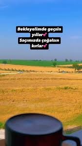 Sosyal medyada yapılan akımlar hakkında ne düşünüyorsunuz?