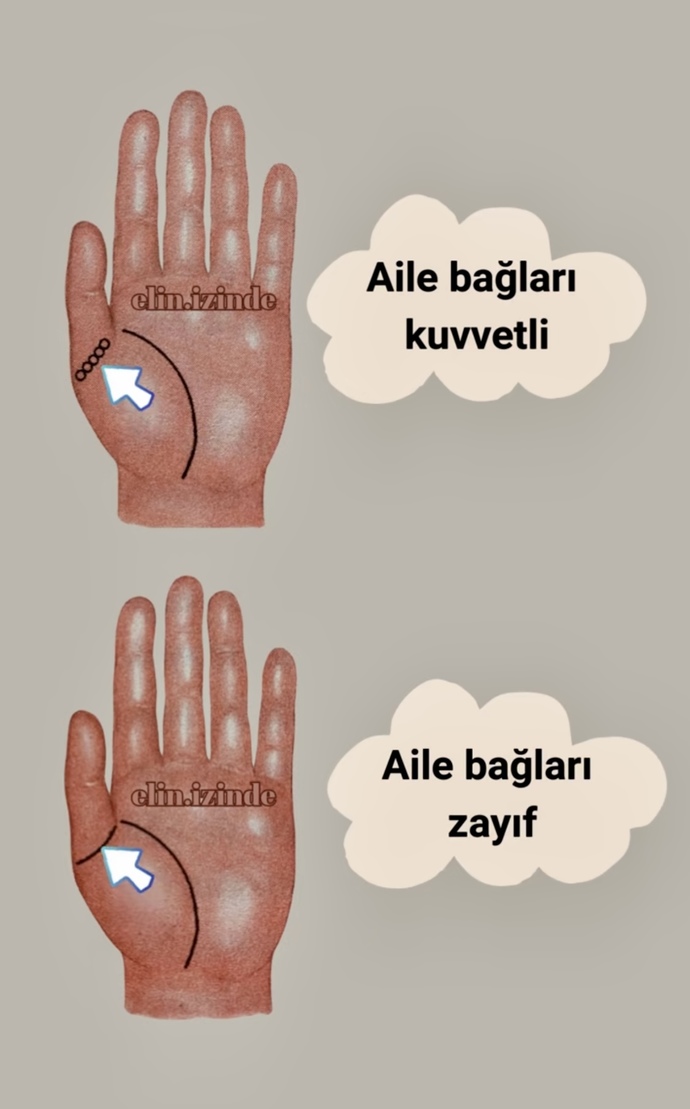 ✌🏻