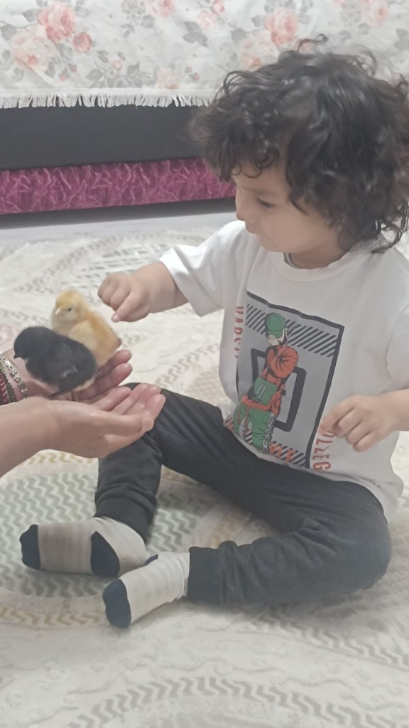 Telefonunuzdaki son fotoğrafınız ne?